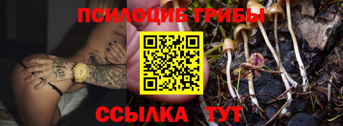 Ачинск  Псилоцибиновые грибы MAGIC MUSHROOMS  Вход с VPN 